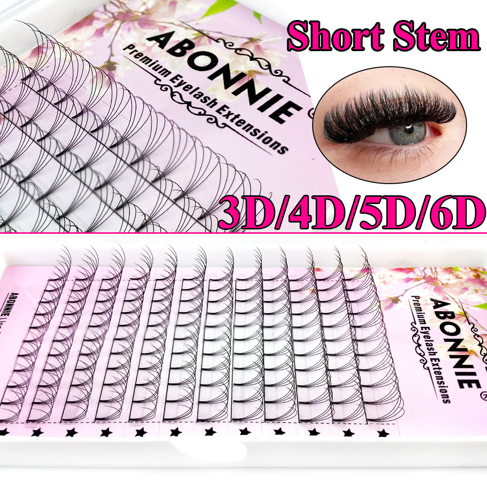 Abonnie 6D Abanicos Preformado - Eyelash Extension Remover At Home reseña y precio